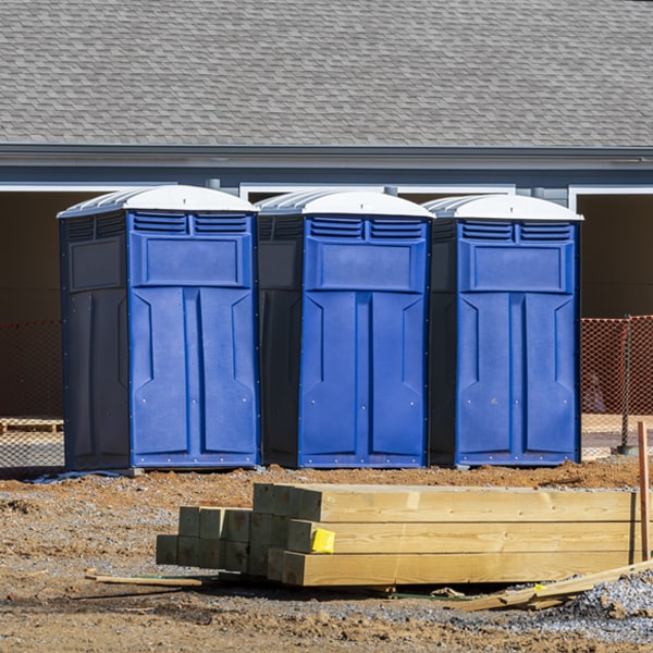 how can i report damages or issues with the porta potties during my rental period in Roselle